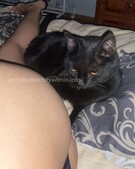 Анкета проститутки Эмма - метро Коптево, возраст - 25